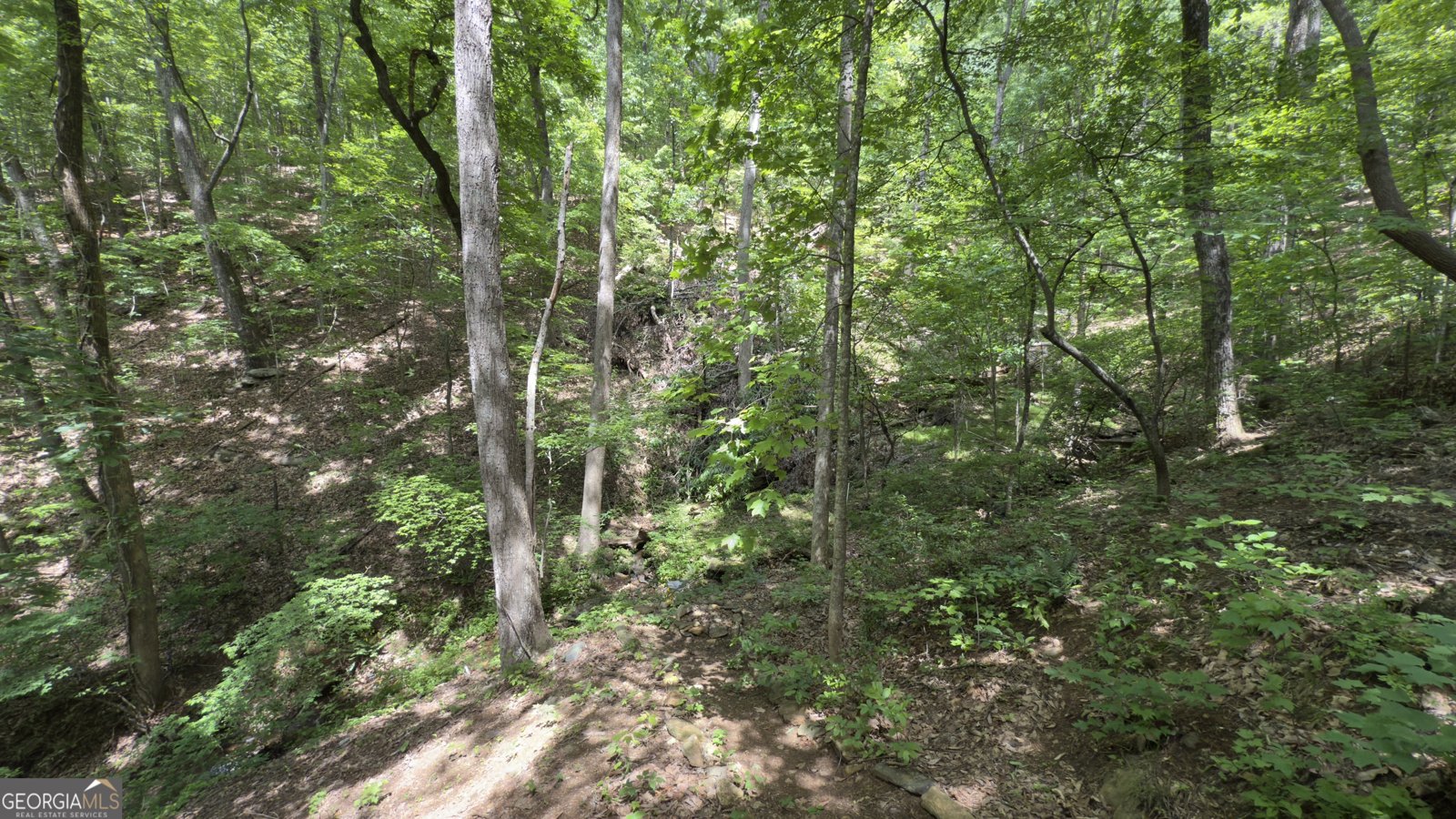 87 Garden Lane Cleveland - 27