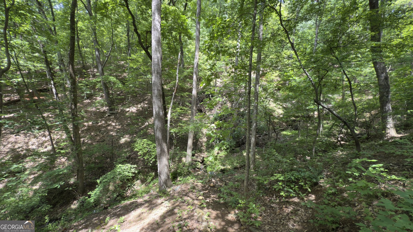 87 Garden Lane Cleveland - 28