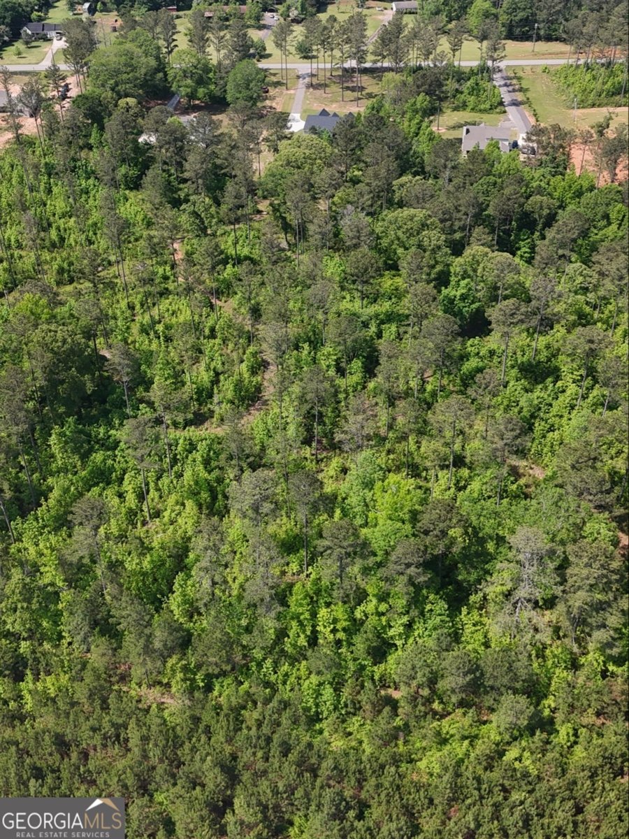 2317 Ellis Road Griffin - 5