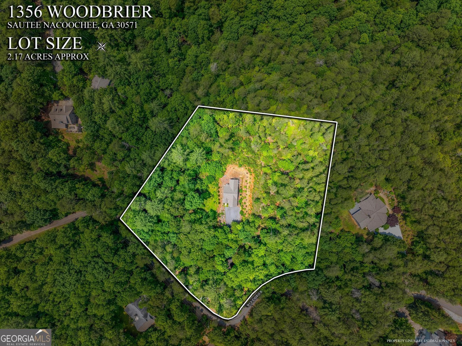 1356 Woodbrier Sautee Nacoochee - 54