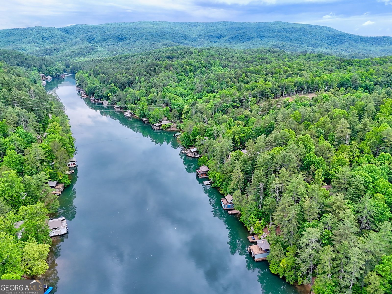 513 Georgia Lane Lakemont - 81