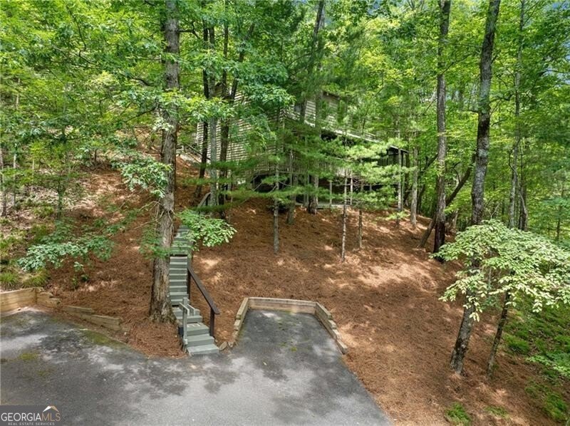 242 Buckskull Hollow Drive Jasper - 6