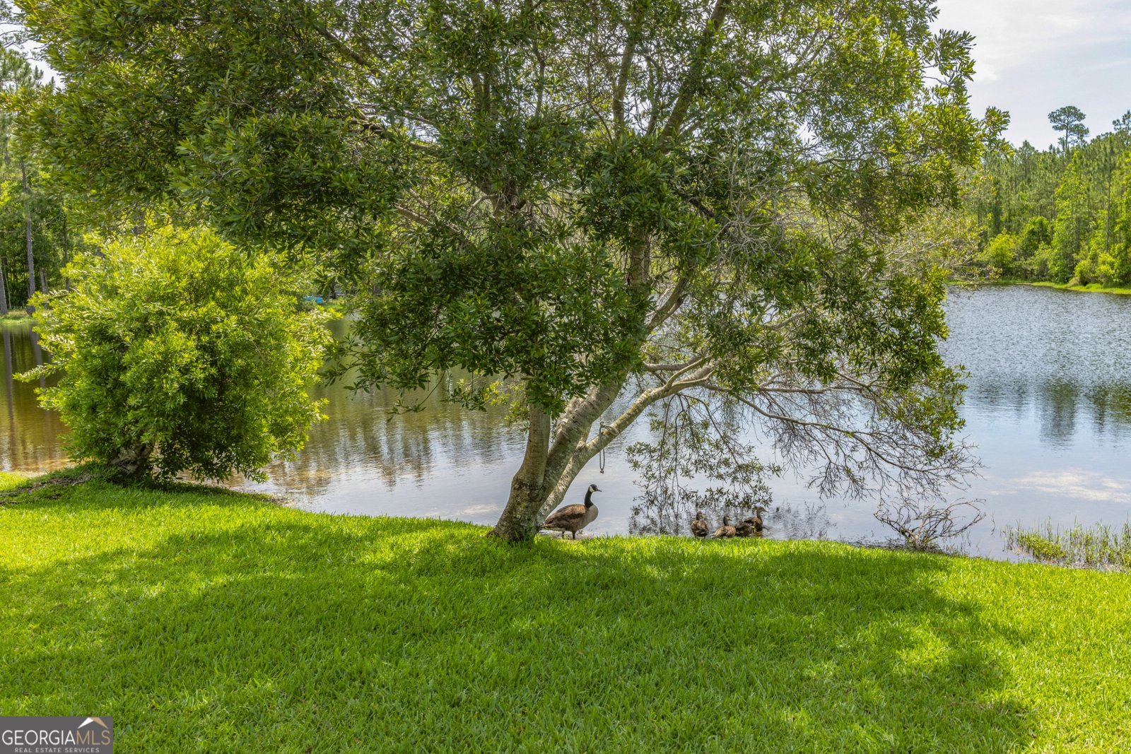 326 Daniel Trent Way Kingsland - 7