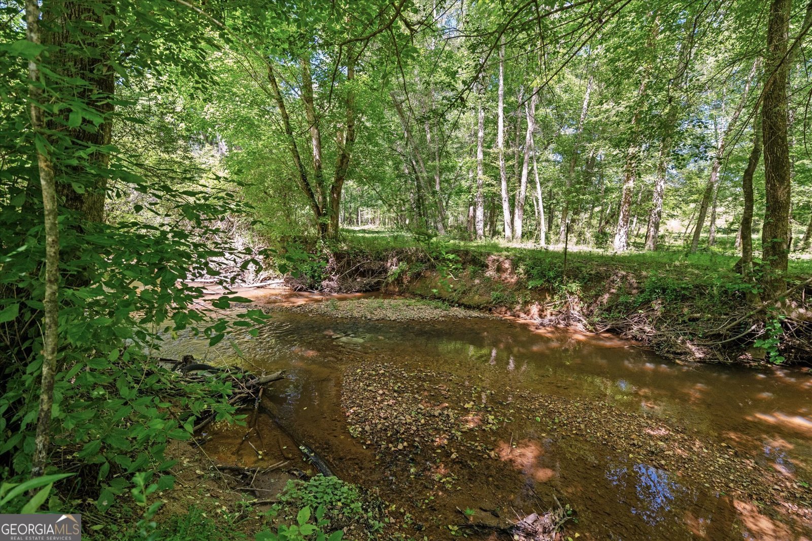 220 Mountain Creek Road Bowdon - 43