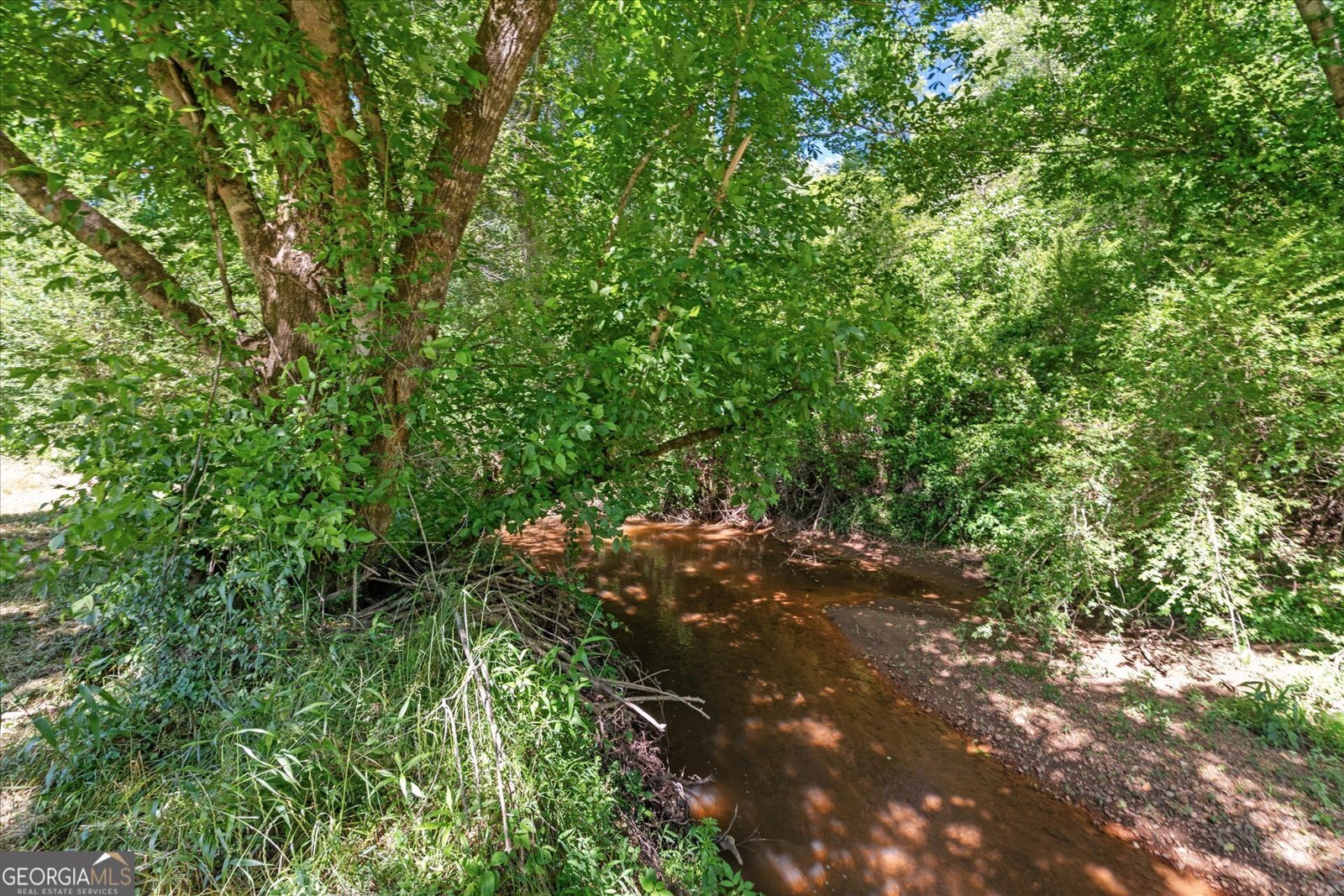 220 Mountain Creek Road Bowdon - 44
