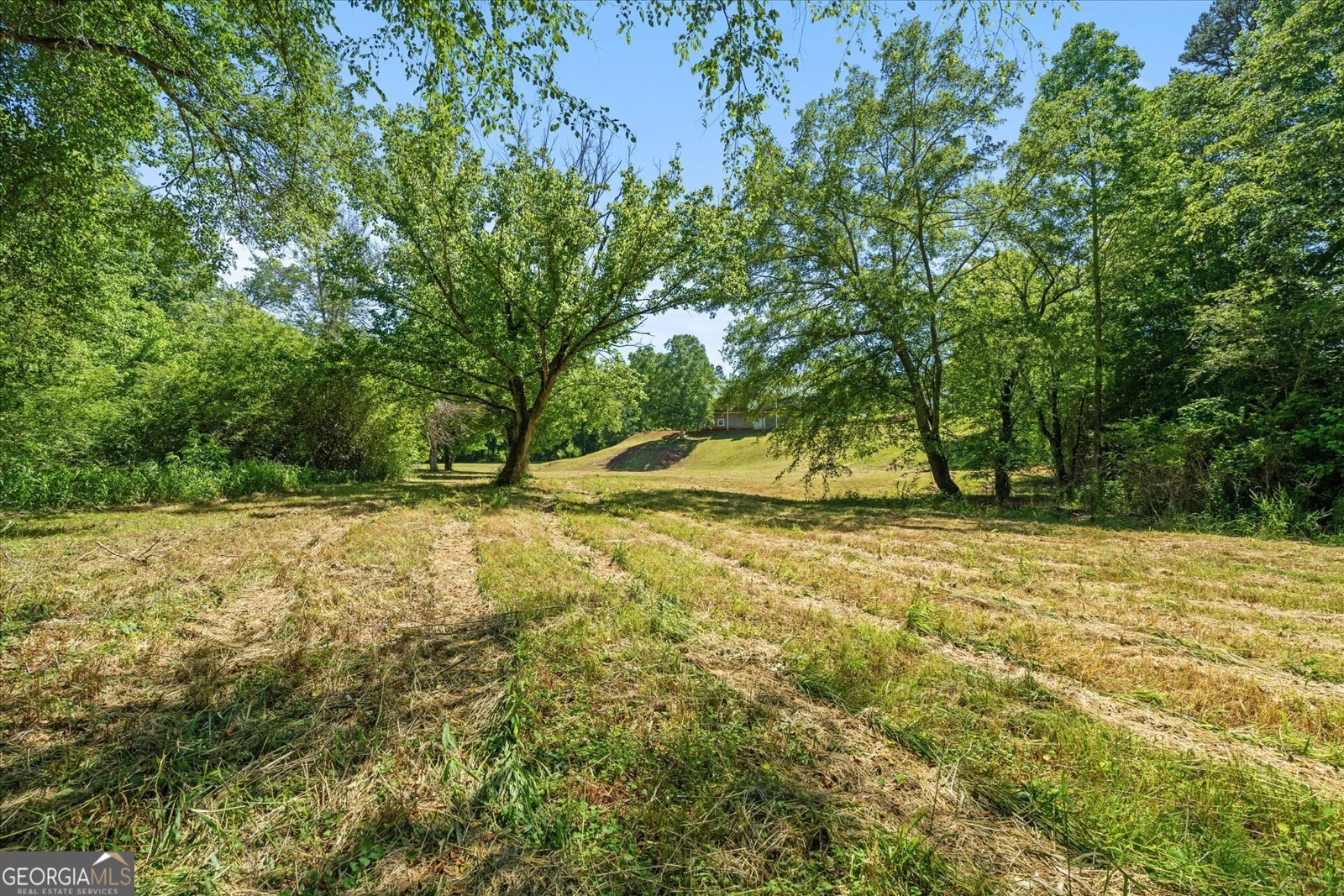 220 Mountain Creek Road Bowdon - 45