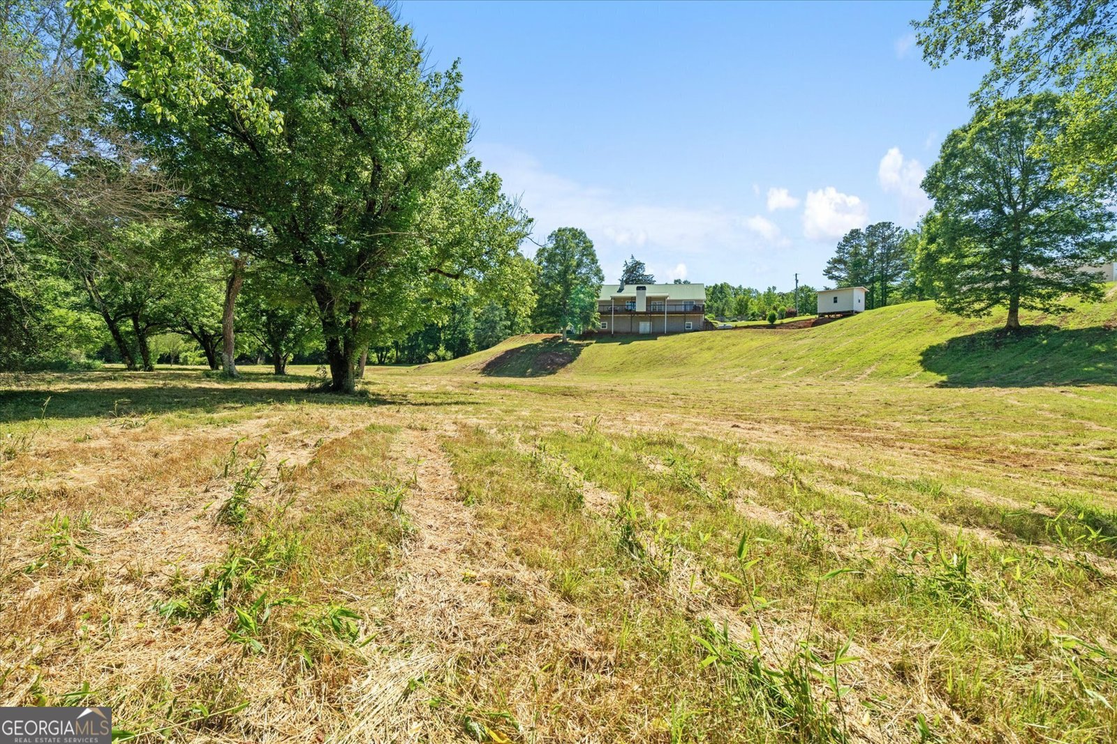 220 Mountain Creek Road Bowdon - 46