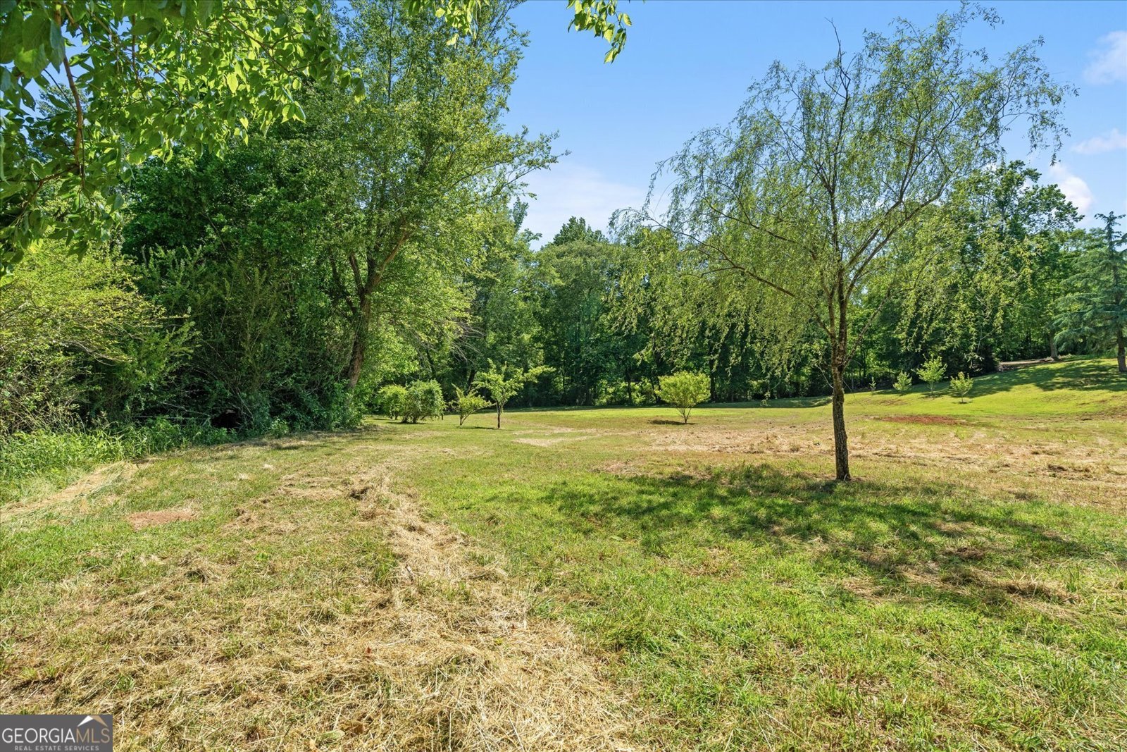 220 Mountain Creek Road Bowdon - 47