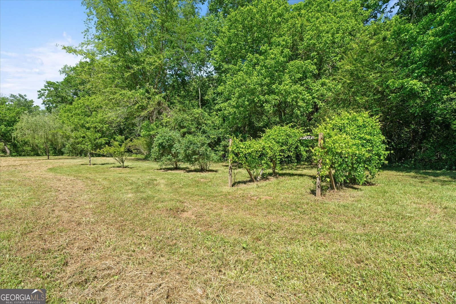 220 Mountain Creek Road Bowdon - 48