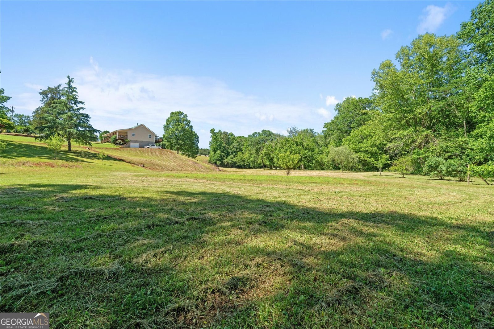 220 Mountain Creek Road Bowdon - 49