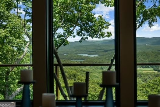 146 Overlook Way Blue Ridge - 55