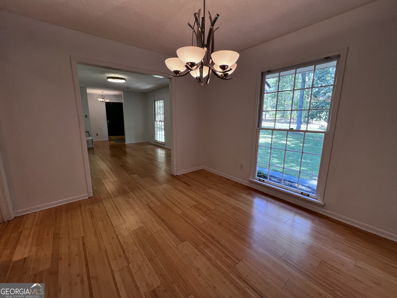 2976 Twin Pine Road Thomson - 6