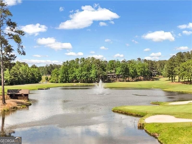 4115 Gold Mill Ridge Canton - 46