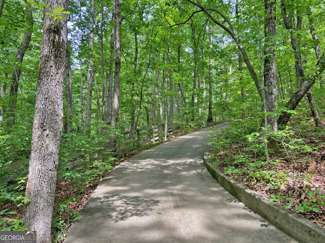 554 Vandiviere Road Dawsonville - 100