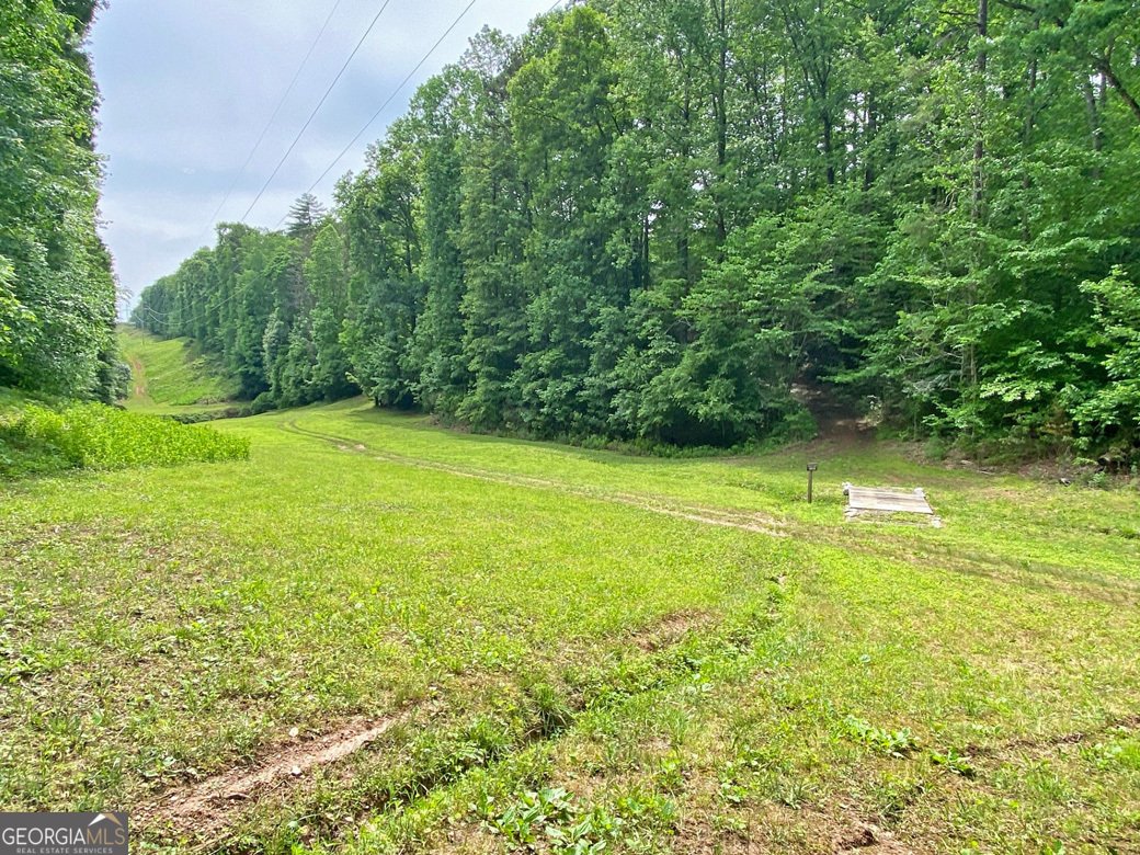 554 Vandiviere Road Dawsonville - 103