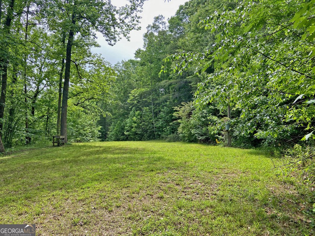 554 Vandiviere Road Dawsonville - 104