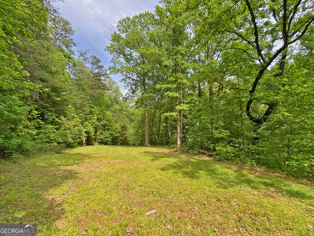 554 Vandiviere Road Dawsonville - 105