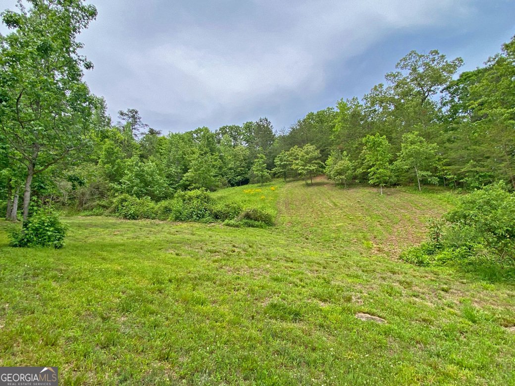 554 Vandiviere Road Dawsonville - 107