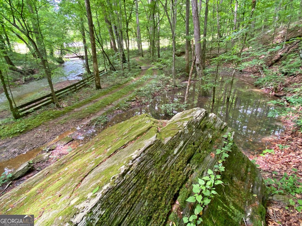 554 Vandiviere Road Dawsonville - 111