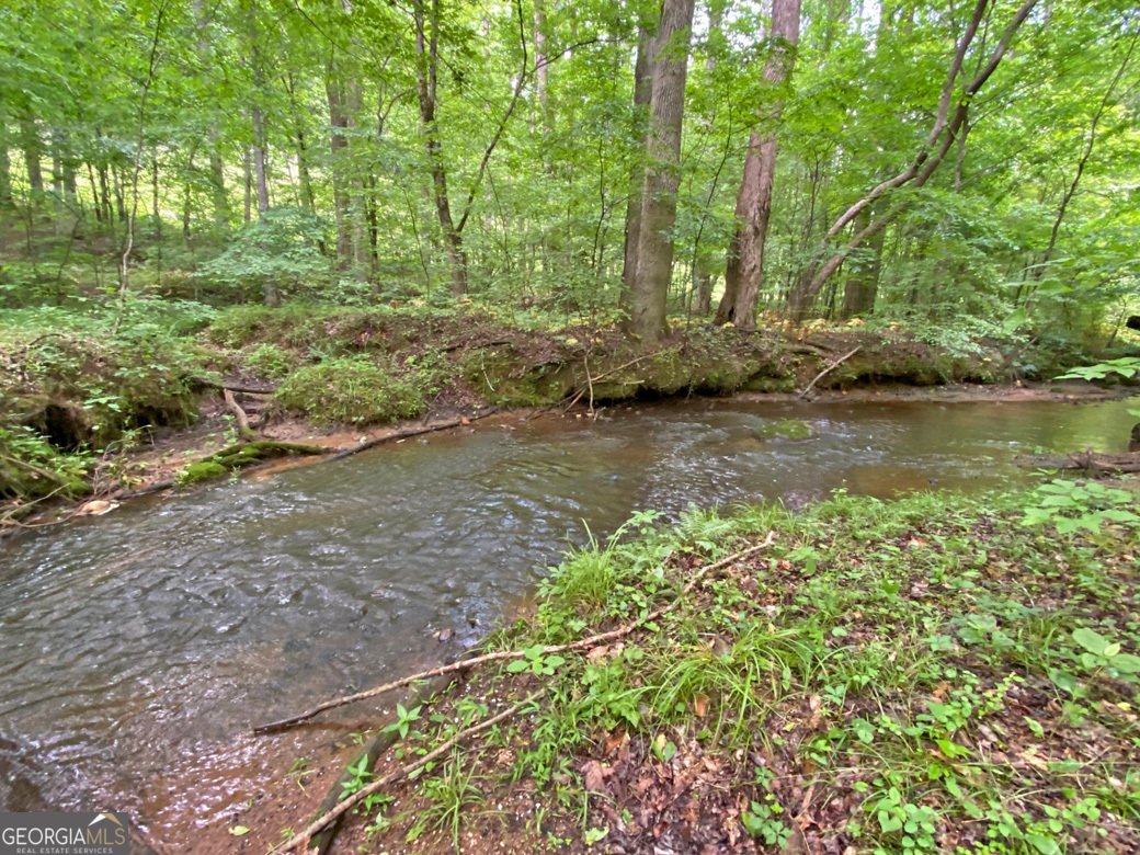 554 Vandiviere Road Dawsonville - 118