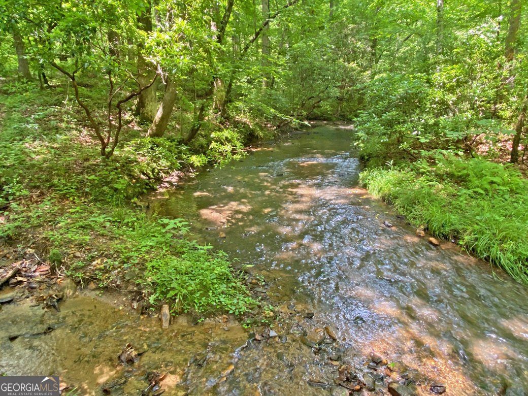 554 Vandiviere Road Dawsonville - 119