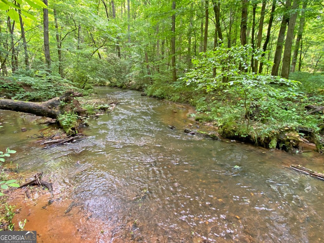 554 Vandiviere Road Dawsonville - 120