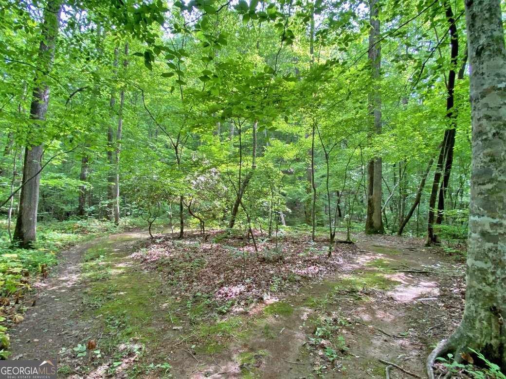554 Vandiviere Road Dawsonville - 121