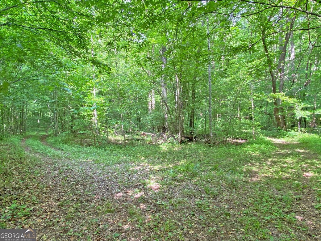 554 Vandiviere Road Dawsonville - 126