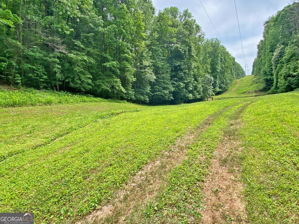 554 Vandiviere Road Dawsonville - 128