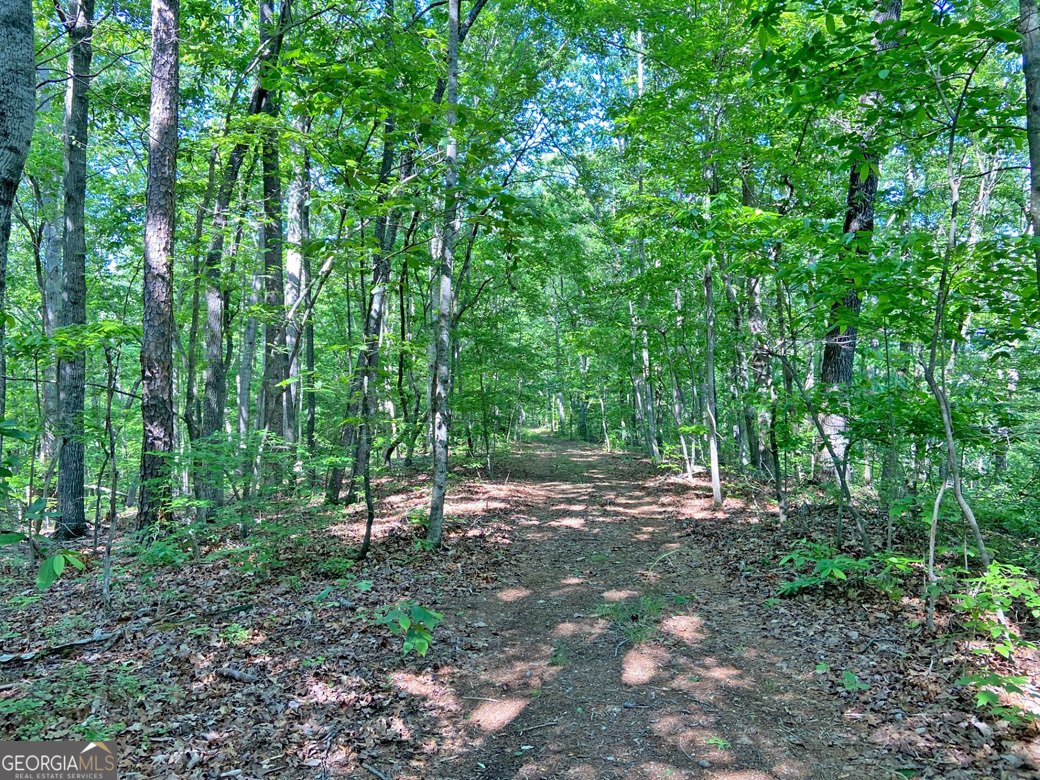 554 Vandiviere Road Dawsonville - 129