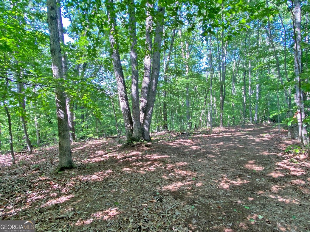 554 Vandiviere Road Dawsonville - 130