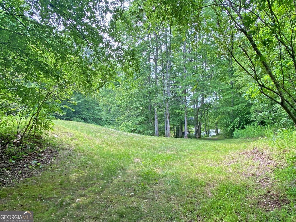554 Vandiviere Road Dawsonville - 133