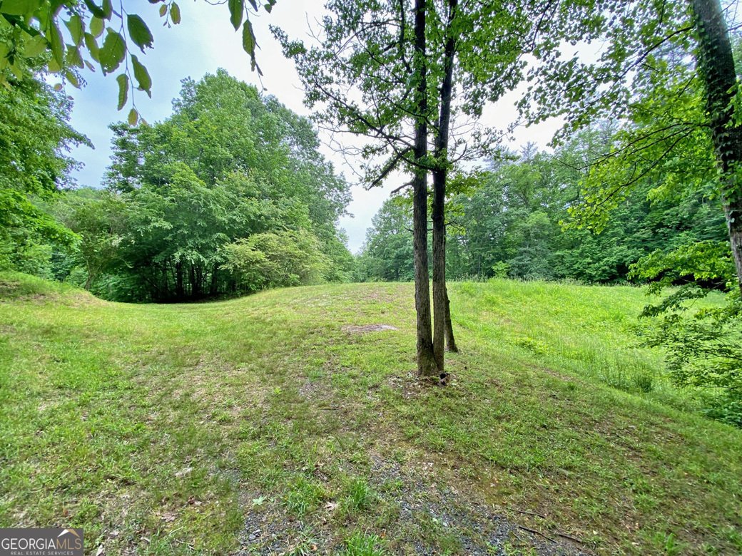 554 Vandiviere Road Dawsonville - 134