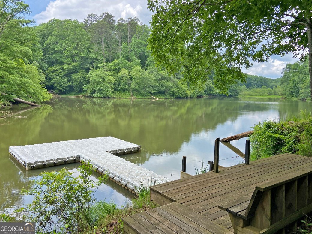 554 Vandiviere Road Dawsonville - 137