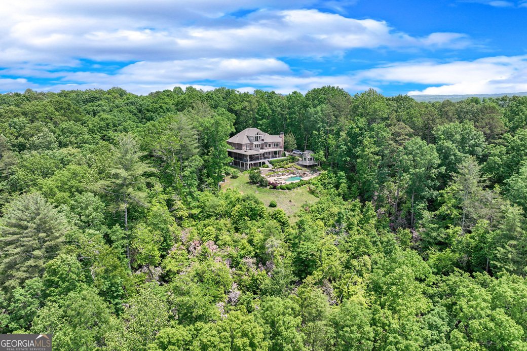 554 Vandiviere Road Dawsonville - 5