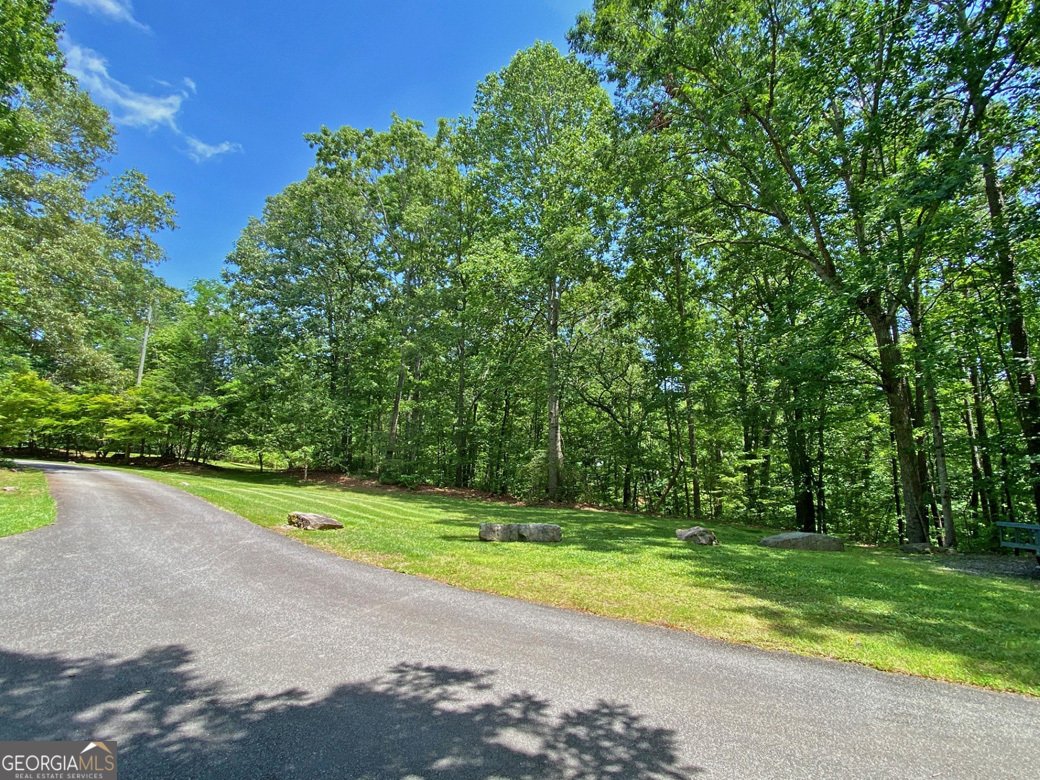 554 Vandiviere Road Dawsonville - 82