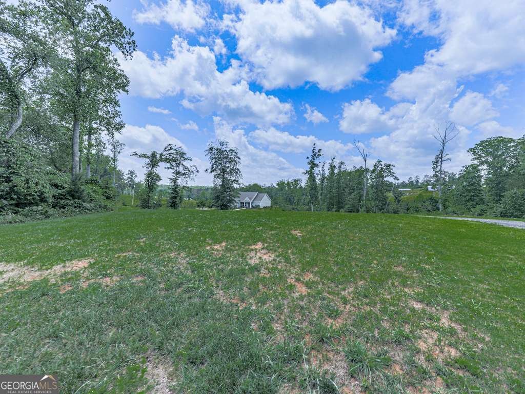 3931 Upper Bethany Road Ball Ground - 24