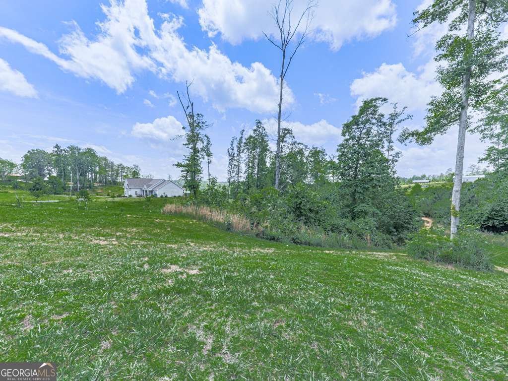 3931 Upper Bethany Road Ball Ground - 25