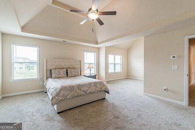 171 Osier Drive McDonough - 21