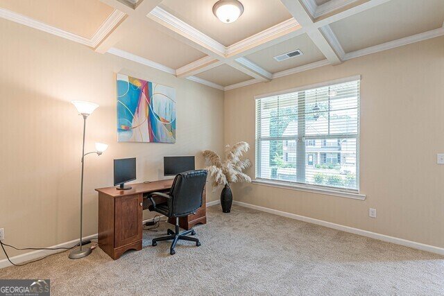 171 Osier Drive McDonough - 4