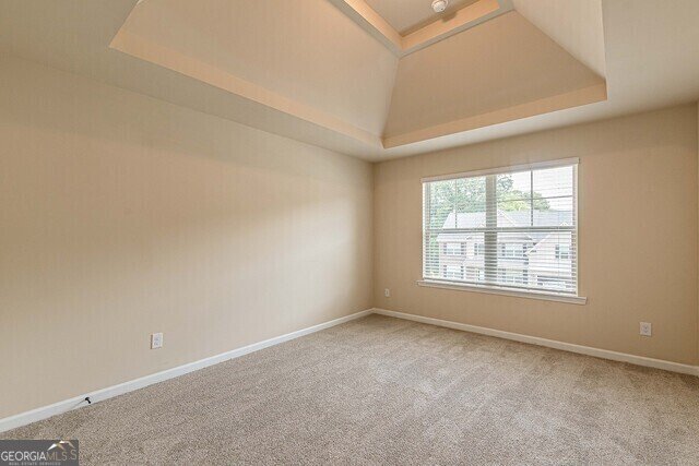 171 Osier Drive McDonough - 44