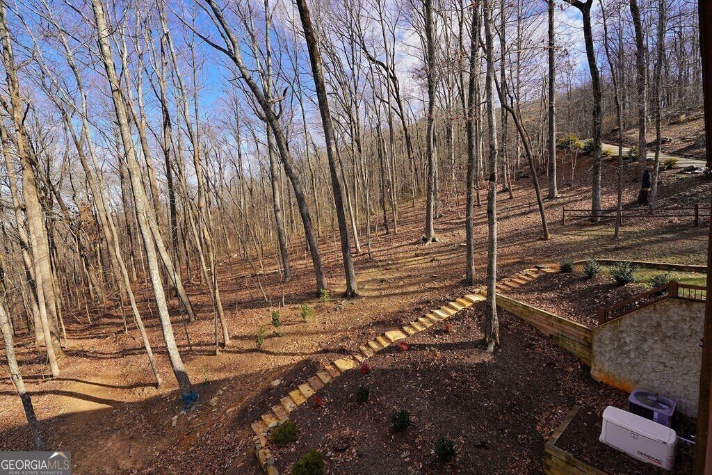 520 Mountain Falls Loop Ellijay - 1