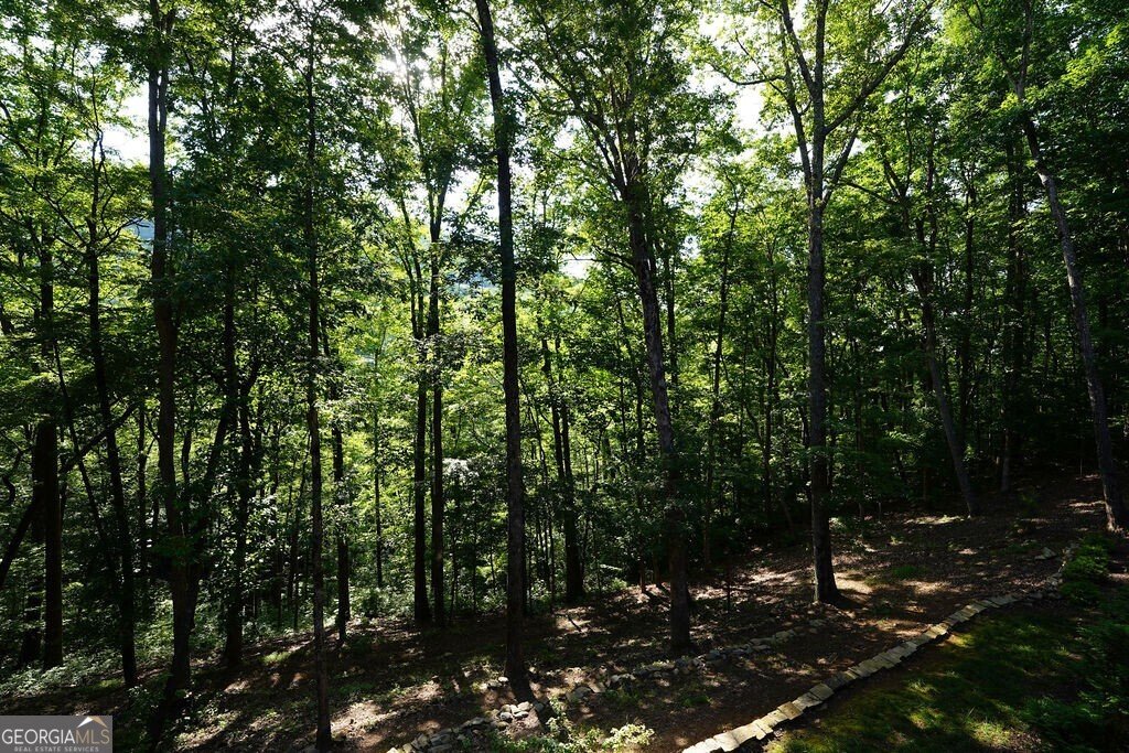 520 Mountain Falls Loop Ellijay - 82