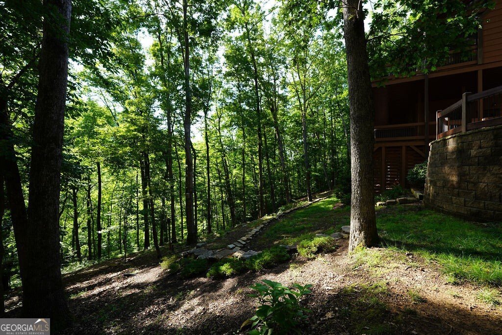 520 Mountain Falls Loop Ellijay - 92