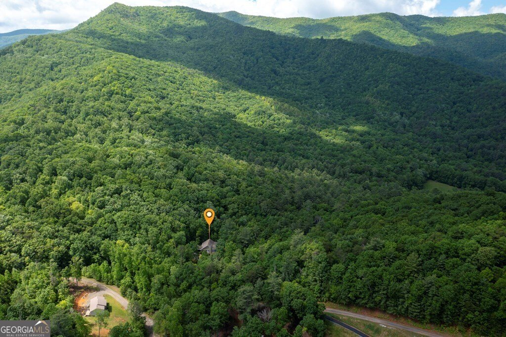 1774 Long Ridge Road Hiawassee - 33