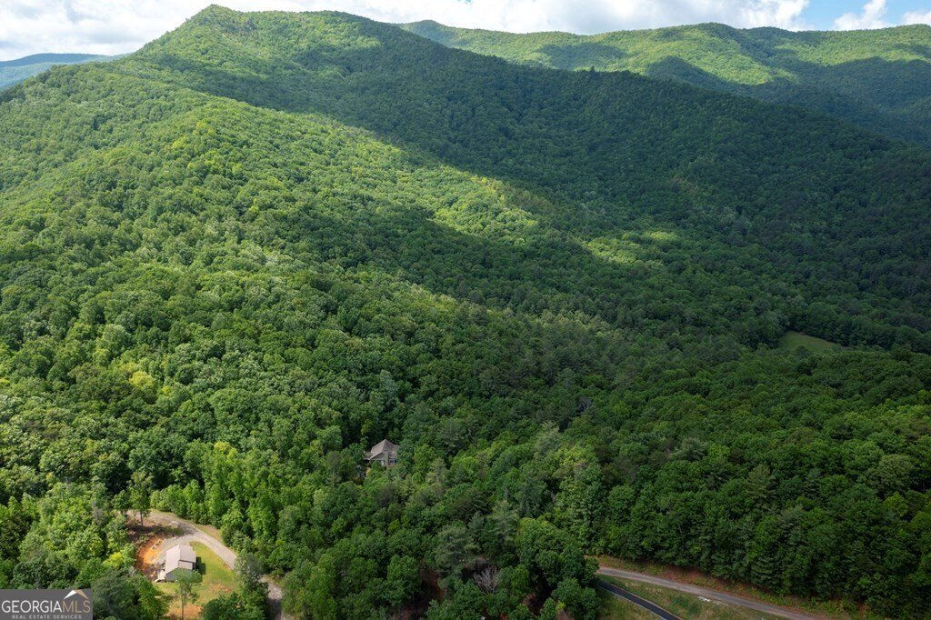1774 Long Ridge Road Hiawassee - 43