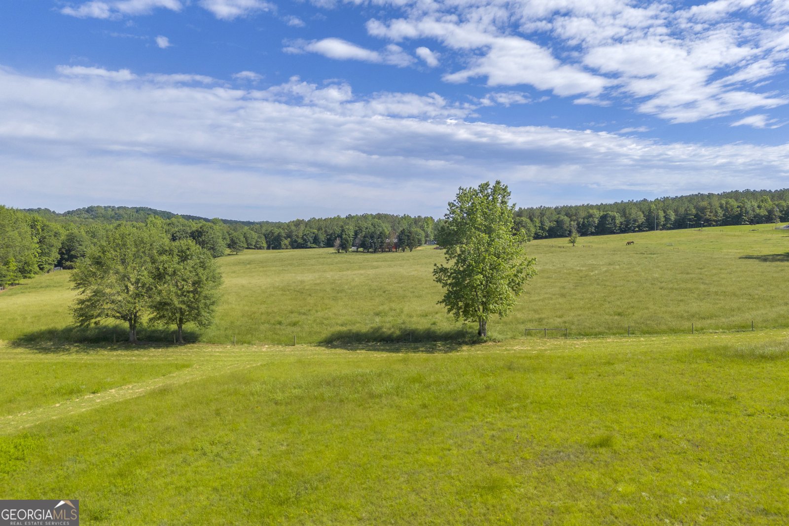 1035 McFarlin Bridge Road Carnesville - 31