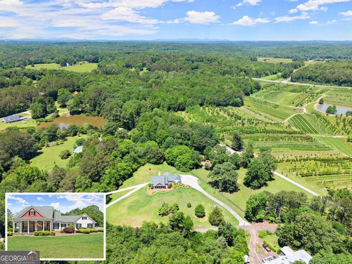 1617 Edwards Mill Road Ball Ground - 4