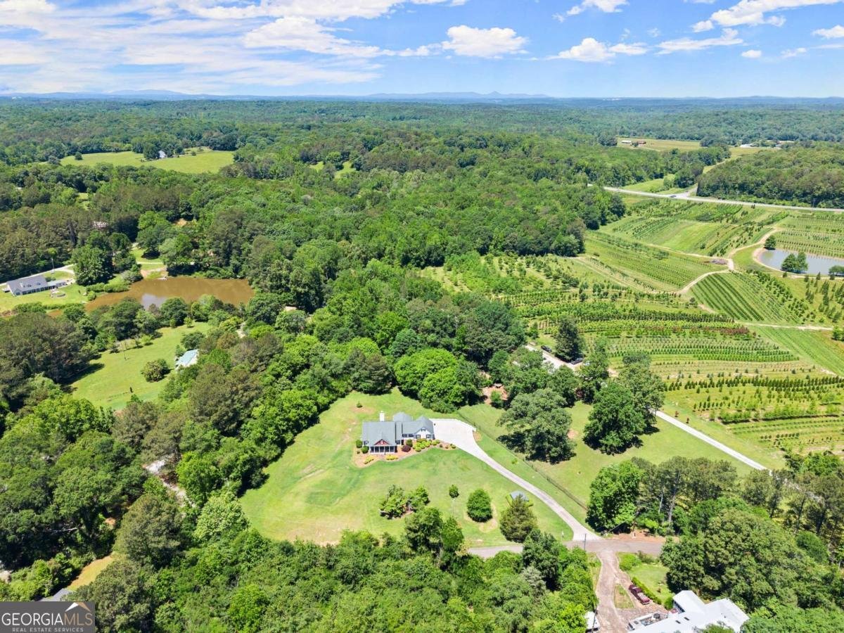1617 Edwards Mill Road Ball Ground - 46