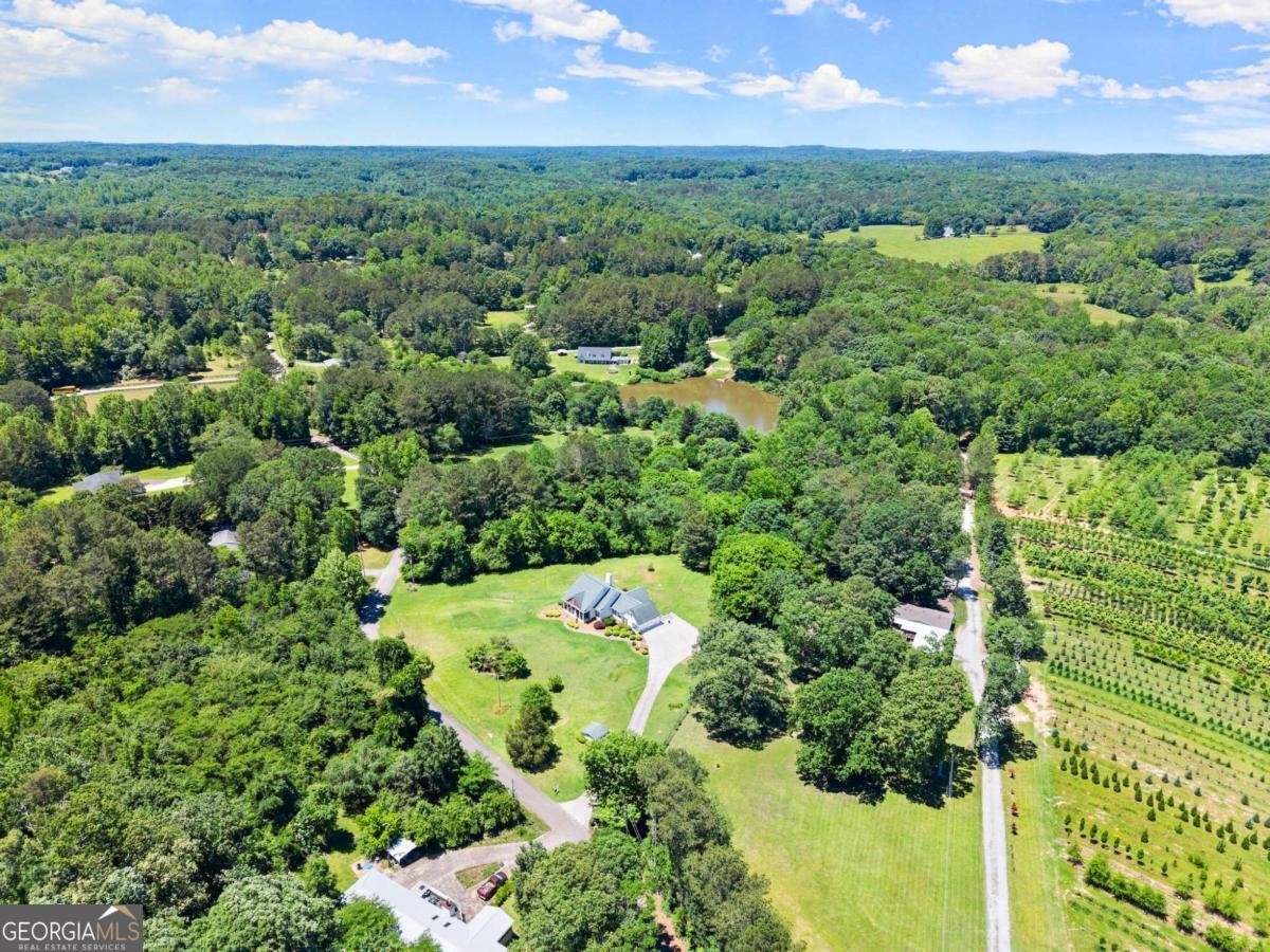 1617 Edwards Mill Road Ball Ground - 47